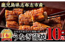うなぎの大楠＜中＞10尾セット計1.3kg(130g×10) e9-001