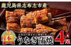 うなぎの大楠＜大＞4尾セット計600g(150g×4) b8-026