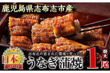 うなぎの大楠＜特大＞1尾170g a1-104