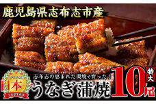 うなぎの大楠＜特大＞10尾セット計1.7kg(170g×10) g4-017