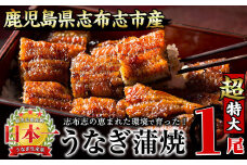 【数量限定】うなぎの大楠＜超特大＞1尾190g a2-075