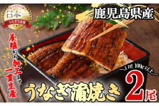 桜林養鰻のうなぎ蒲焼 計200g以上(100g以上×2尾) a3-195