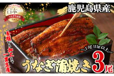 桜林養鰻のうなぎ蒲焼 計333g以上(111g以上×3尾) b0-175