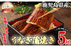 桜林養鰻のうなぎ蒲焼 計500g以上(100g以上×5尾) b7-016