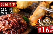 【数量限定】国産牛ミックスホルモン(味付けなし)・国産和牛ほほ肉たれ漬け＜計1.6kg＞ a6-046