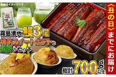 【丑の日までに配送】霧島湧水うなぎ3尾とスイートポテト・お茶セット 総計700g以上 b3-009-us