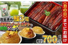 【丑の日までに配送】霧島湧水うなぎ3尾とスイートポテト・お茶セット 総計700g以上 b3-009-us
