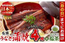 【丑の日までに配送】極うなぎ蒲焼110g以上×4尾(計440g以上)+福茶100g b3-007-us