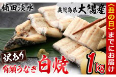 【丑の日までに配送】【訳あり】鹿児島県大隅産！楠田の極うなぎ白焼き 有頭1kg（約5尾～7尾） c6-077-us