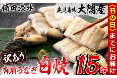 【丑の日までに配送】【訳あり】鹿児島県大隅産！楠田の極うなぎ白焼き 有頭1.5kg（約7尾～11尾） e7-014-us