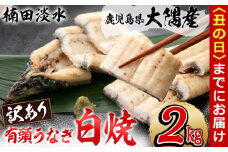 【丑の日までに配送】【訳あり】鹿児島県大隅産！楠田の極うなぎ白焼き 有頭2kg（約10尾～14尾） g2-002-us
