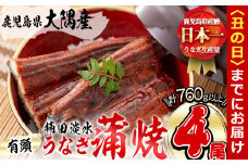【丑の日までに配送】楠田の極うなぎ 蒲焼き 190g以上×4尾(計760g以上) c3-018-us