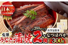 極うなぎ蒲焼き2尾(計260g以上)と真空包装米なつほのか(計300g・1合相当×2P) a6-056