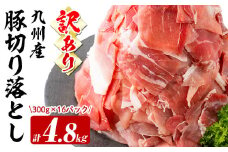 【2月発送】【訳あり・生産者応援企画】九州産 豚切り落とし肉＜計4.8kg(300g×16P)＞ 豚肉 ぶた肉 肉 国産 九州産 切り落とし 切落し 小分け 真空パック チャック付き 野菜炒め 豚丼 カレー b5-183-02
