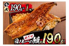 【家計応援】＜肝串3本付き！＞日ノ本一の鰻の蒲焼き＜大＞1尾(約190g以上) a3-202-sbs