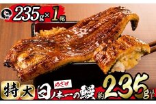 【家計応援】＜肝串3本付き！＞日ノ本一の鰻の蒲焼き＜特大＞1尾(約235g以上) a4-071-sbs