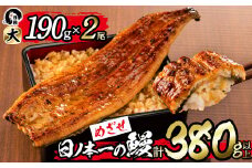 日ノ本一の鰻の蒲焼き＜大＞2尾(計380g以上) b1-018
