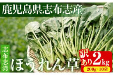 【数量限定・訳あり】志布志湾ほうれん草(計2kg 200g×10袋) サラダ おひたし お味噌汁 スムージー ほうれん草 ジュース ほうれんそう a2-081