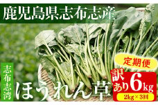 【定期便3回】【数量限定・訳あり】志布志湾ほうれん草(計6kg 2kg×3回) サラダ おひたし お味噌汁 スムージー ほうれん草 ジュース ほうれんそう t0036-005
