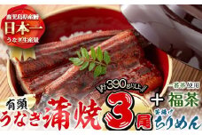 極うなぎ蒲焼130g以上×3尾(計390g以上)+釜揚げちりめん110g+福茶100g うなぎ 鰻 ウナギ 蒲焼 3尾 真空パック 鰻重 うな丼 ちりめん 一番茶 緑茶 冷凍 お茶 有頭 セット b4-010