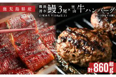 鹿児島県産 霧島湧水鰻3尾(1尾156g)×里山牛100%手作りハンバーグ4個(1個100g) (総計860g以上) うなぎ 鰻 ウナギ 蒲焼き 真空パック うな丼 鰻重 牛 牛肉 鹿児島県産 国産 ハンバーグ 100% b6-019