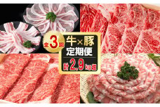 【定期便全3回】贅沢！国産黒毛和牛・豚肉定期便(3ヶ月連続・総量2.9kg以上) 黒毛和牛 国産牛 九州産 黒豚 豚 豚肉 肉 牛 牛肉 国産 しゃぶしゃぶ すき焼き 豚バラ バラ ロース 人気 A4等級 小分け 真空包装 t0042-007
