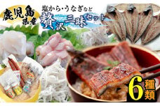 鹿児島県産贅沢三昧セット!鰻蒲焼、アジの干物、釜揚げちりめん、塩辛3種食べ比べ 計6種! 食べ比べ あじ ひもの シオカラ 塩から 水いか うなぎ ウナギ 海産物 バラエティ b5-181