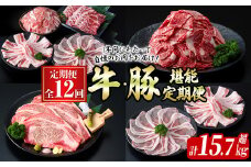 【定期便全12回】牛・豚堪能定期便(12ヶ月連続・計15.7kg超) 黒毛和牛 国産牛 九州産 豚 豚肉 肉 牛肉 国産 4等級 訳あり 小分け 真空包装 冷凍 t0194-011