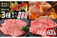 【焼肉3種！食べ比べセット】鹿児島県産黒毛和牛 モモ・肩ロース・国産ホルモンの焼肉3種セット＜計600g＞ 牛肉 肉 焼肉 セット 焼肉セット 焼き肉 小分け 食べ比べ 赤身 霜降り ホルモン やきにく BBQ a4-080