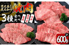 【焼肉3種！食べ比べセット】鹿児島県産黒毛和牛 モモ・肩ロース・ウデの焼肉3種セット＜計600g＞ 牛肉 肉 焼肉 セット 焼肉セット 焼き肉 小分け 食べ比べ 赤身 霜降り やきにく BBQ a6-048