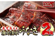 【志布志市人気No.1お礼の品】霧島湧水鰻の蒲焼き 160g以上×2尾＜計320g以上＞ うなぎ 鰻 ウナギ 2尾 国産 九州産 蒲焼き かばやき 冷凍 うな重 ひつまぶし タレ 山椒 ランキング 人気 a3-229