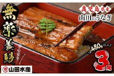【無薬養鰻】 鹿児島産 山田のうなぎ ＜計480g以上＞（160g以上×3尾） うなぎ 鰻 ウナギ 無薬 養鰻 無投薬 3尾 国産 九州産 蒲焼き かばやき 冷凍 うな重 ひつまぶし タレ 山椒 a6-062