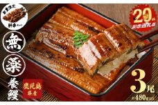 【志布志市制20周年記念】【無薬養鰻】 鹿児島産 山田のうなぎ ＜計480g以上＞（160g以上×3尾） 肝串セット うなぎ 鰻 ウナギ 無薬 養鰻 無投薬 3尾 国産 九州産 蒲焼き かばやき 冷凍 うな重 ひつまぶし タレ 山椒 a5-348-km