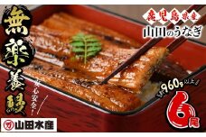 【無薬養鰻】 鹿児島産 山田のうなぎ ＜計960g以上＞ (160g以上×6尾) うなぎ 鰻 ウナギ 無薬 養鰻 無投薬 6尾 国産 九州産 蒲焼き かばやき 冷凍 うな重 ひつまぶし タレ 山椒 c2-014