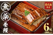 【無薬養鰻】 鹿児島産 山田のうなぎ ＜計960g以上＞ (160g以上×6尾) うなぎ 鰻 ウナギ 無薬 養鰻 無投薬 6尾 国産 九州産 蒲焼き かばやき 冷凍 うな重 ひつまぶし タレ 山椒 c2-014