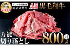 ＜A5等級＞鹿児島県産 黒毛和牛万能切り落とし(計800g /400g×2P) 黒毛和牛 和牛 切り落とし 肉 牛肉 国産 九州産 鹿児島県産 すき焼き しゃぶしゃぶ 小分け A5 日本一 ランキング 人気 a3-210