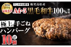 【志布志市制20周年記念】＜期間限定規格＞＜A4・A5等級＞鹿児島県産 黒毛和牛100%使用極上手ごねハンバーグ( 計1.5kg/150g×10個) 黒毛和牛 和牛 ハンバーグ 冷凍ハンバーグ 肉 牛肉 国産 九州産 鹿児島県産 ミンチ 100% 小分け A4 A5 日本一 ランキング 人気 a5-308-kk