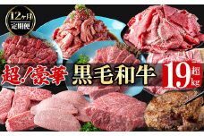 【定期便全12回】超豪華！黒毛和牛堪能贅沢定期便！(総重量19kg超)   鹿児島県産 黒毛和牛 和牛 肉 牛肉 国産 九州産 鹿児島県産 焼肉 BBQ 日本一 ランキング 人気 A4 A5 ステーキ 切り落とし ハンバーグ カルビ ミスジ 訳あり t0365-001	