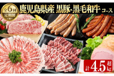 【定期便・全6回】鹿児島県産黒豚・黒毛和牛満喫コース！ 総量4.5kg超!  牛肉 豚肉 鹿児島県産 九州産 国産 黒毛和牛 ステーキ すきやき しゃぶしゃぶ 焼肉 BBQ ウインナー ソーセージ ハム ハムカツ 定期便 t0088-002