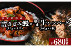 里山牛ハンバーグ＆きざみうなぎセット (総計680g以上) うなぎ 鰻 ウナギ 蒲焼き 真空パック うな丼 鰻重 牛 牛肉 鹿児島県産 国産 ハンバーグ 100% b0-188
