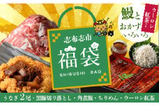 志布志市福袋！鰻とおかずいろいろセット(霧島湧水鰻2尾＆釜揚げちりめん＆黒豚ウデ切り落とし＆ウーロン紅茶＆角煮飯) ウナギ 蒲焼 2尾 バラエティ お楽しみ b8-034