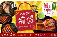 志布志市福袋！！鰻とお肉のおかず(名水慈鰻2尾＆里山牛ハンバーグ4個＆黒豚MEGUMIウインナー2P＆お茶 総計約1kg) うなぎ 鰻 蒲焼き ハンバーグ ウインナー 黒豚 b8-036