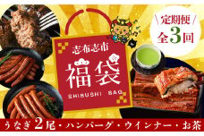 【定期便全３回】志布志市福袋！鰻とお肉のおかず(名水慈鰻2尾＆里山牛ハンバーグ4個＆黒豚MEGUMIウインナー2P＆お茶セット 総計約3kg) うなぎ 鰻 蒲焼き 鹿児島 ハンバーグ 冷凍 ウインナー 黒豚 緑茶 t0084-010