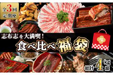 【定期便全３回】志布志を大満喫！食べ比べ福袋 総計４kg超 うなぎ 鰻 蒲焼き 6尾 鹿児島 黒豚 しゃぶしゃぶ 切り落とし ハンバーグ 冷凍 ウインナー 角煮 ちりめんじゃこ しらす 緑茶 紅茶 ウーロン茶 定期便 福袋 t0084-008