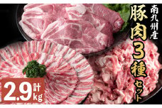 【2025年7月発送予定】南九州産豚肉3種セット(切り落し・バラスライス・とんかつ)(計2.9kg) a5-270-07