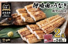 【ギフト対応】【数量限定】鹿児島県産 伊崎田の有頭うなぎ白焼き ＜120g以上＞× 2尾(計240g以上) 鰻 ウナギ 白焼き 2尾 国産 九州産 鹿児島県産 冷凍 おつまみ 鰻重 うな丼 セット ギフト 贈答用 プレゼント 化粧箱 a7-018