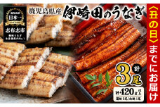 【丑の日までに配送】【数量限定】鹿児島県産 伊崎田のうなぎ蒲焼き2尾＆白焼き1尾セット 計3尾(計420g以上) 鰻 うなぎ ウナギ 蒲焼き 白焼き 3尾 国産 九州産 鹿児島県産 冷凍 おつまみ 鰻重 うな丼 セット b1-021-us
