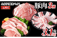 小分け・真空パック!九州産豚肉3種(計3.1kg) 小分け 真空パック 豚肉 豚 ロース バラ モモ ウデ バラエティ セット とんかつ とんてき 野菜炒め a5-319