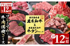 【定期便・全12回】＜A5等級＞鹿児島県産黒毛和牛＆国産牛タン プレミアム！牛肉満喫コース＜計12kg超＞ 定期便 牛肉 肉 1年 12回 12ヶ月 お楽しみ バラエティ 小分け 牛たん すき焼き しゃぶしゃぶ ステーキ 焼肉 セット 頒布会 t026-001