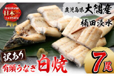 【訳あり】鹿児島県大隅産！楠田の極うなぎ白焼き 有頭(7尾 910g以上) 国産 鹿児島県産 鰻 不揃い 大容量 真空 冷凍 白焼き うなぎ 訳あり c8-030